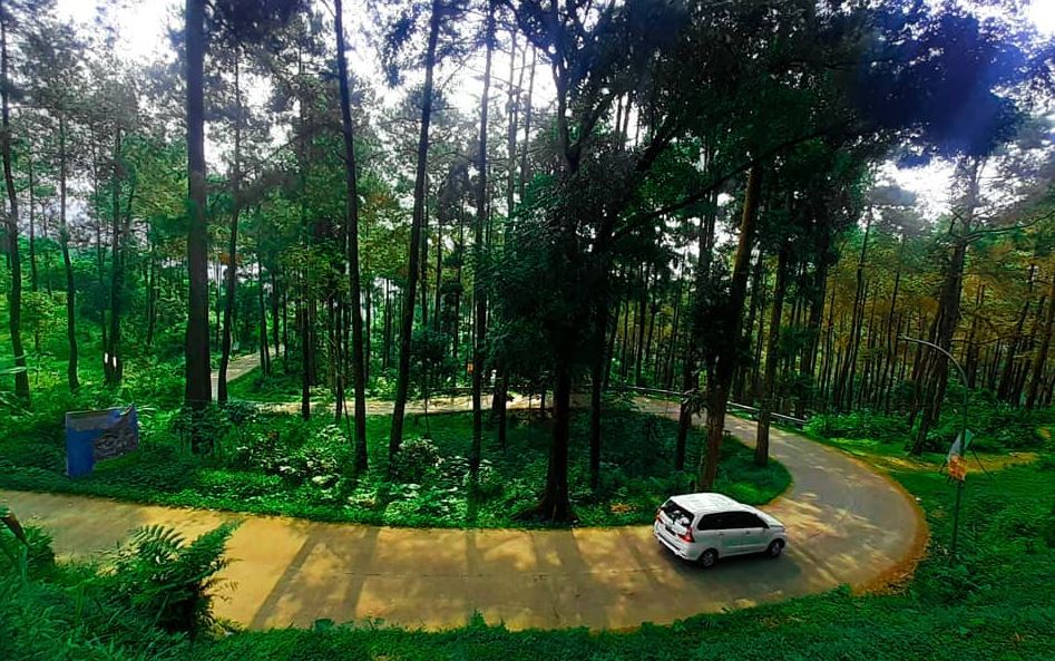 wisata-alam-sikembang